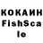 Cocaine FishScale Alina Gerasimowic