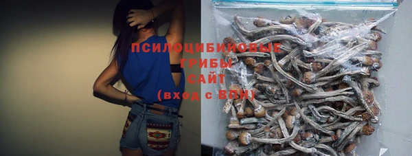 кокс Баксан